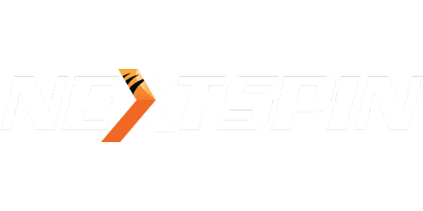 NS Color logo